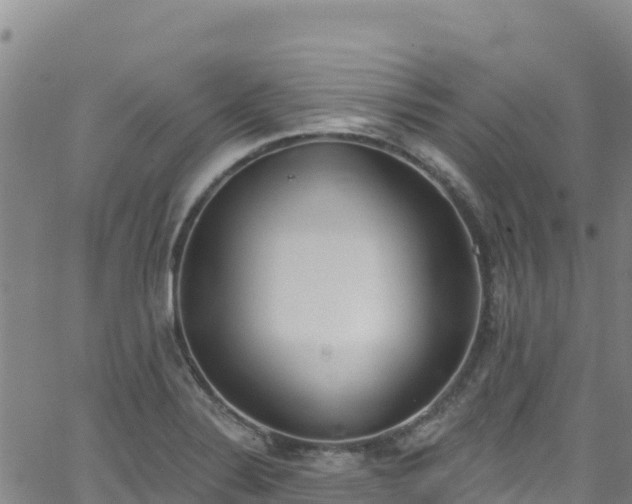 X0000062141324200512161208