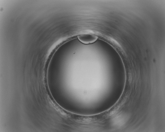 X0000062141326200512161208