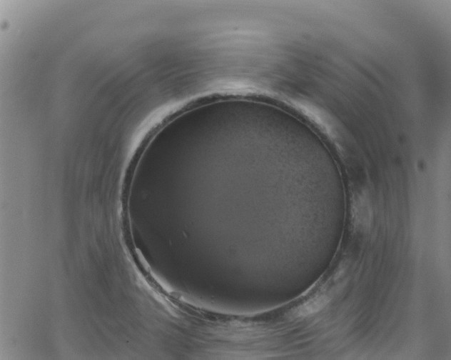 X0000062141327200512161208