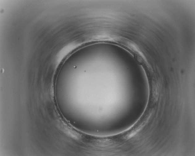 X0000062141328200512161208