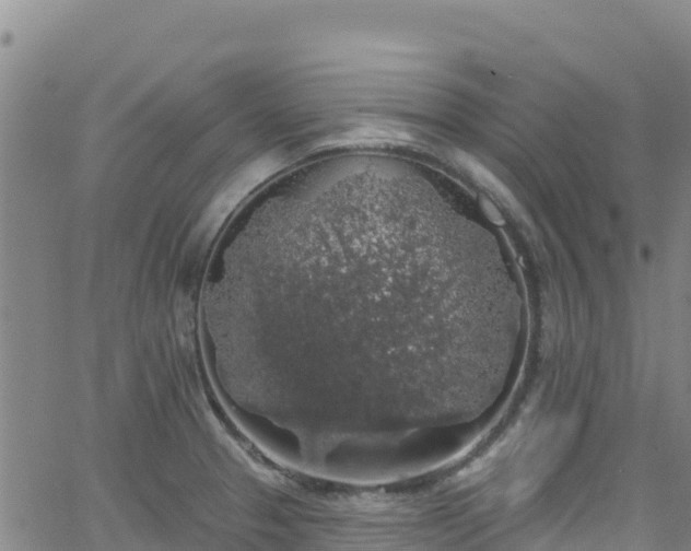 X0000062141329200512161208