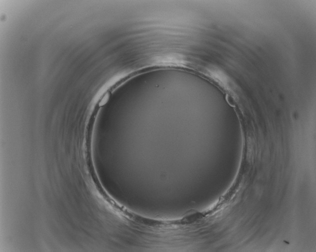 X0000062141331200512161208