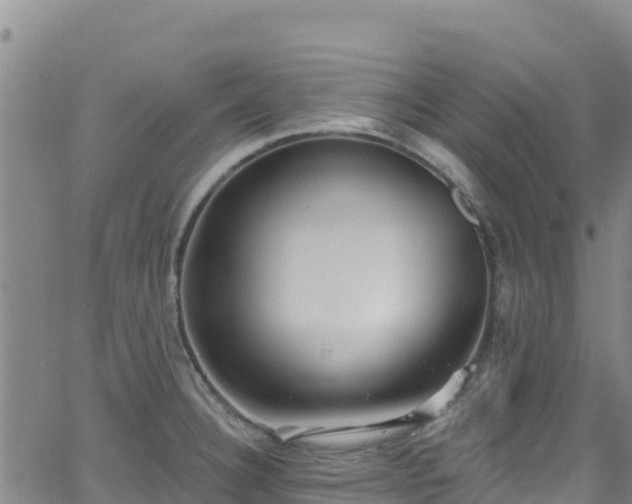 X0000062141332200512161208