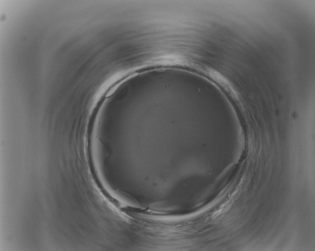 X0000062141334200512161208