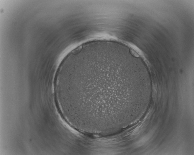 X0000062141335200512161208