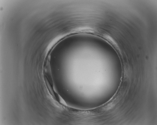 X0000062141336200512161208