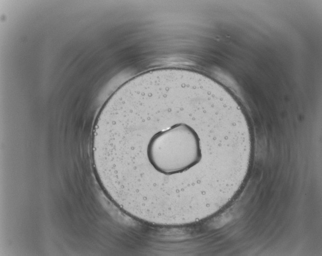 X0000062141338200512161208