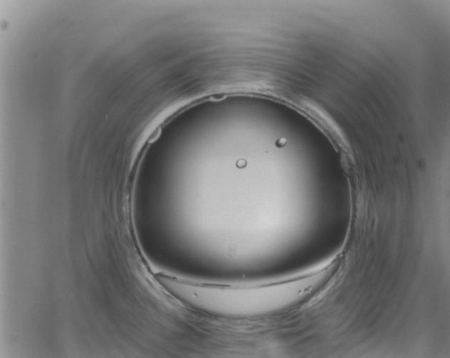 X0000062141340200512161208