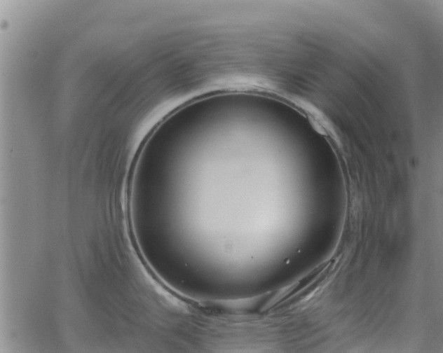 X0000062141343200512161208