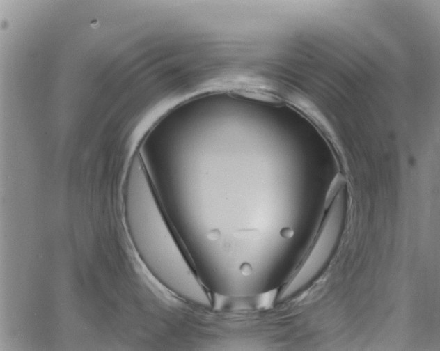 X0000062141344200512161208