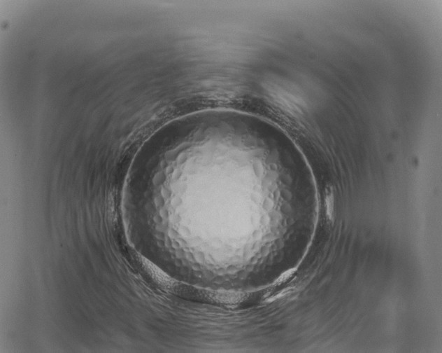 X0000062141347200512161207