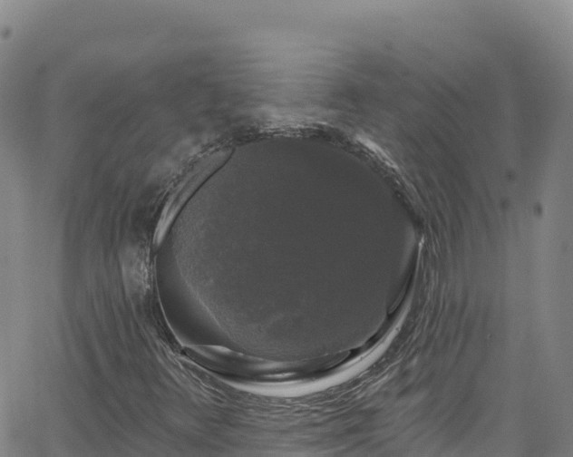 X0000062141348200512161207