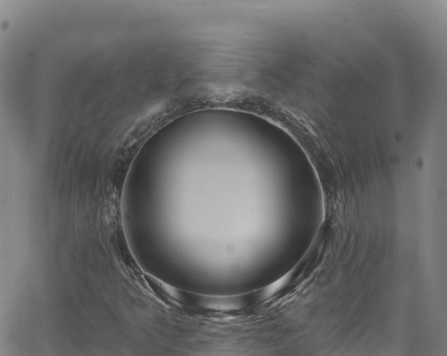 X0000062141349200512161207