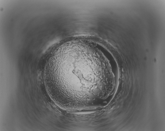 X0000062141351200512161207