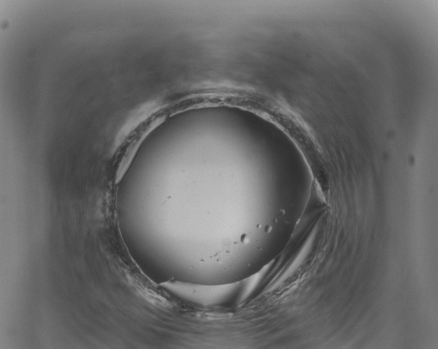 X0000062141352200512161207