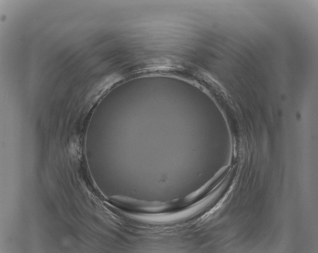 X0000062141353200512161207