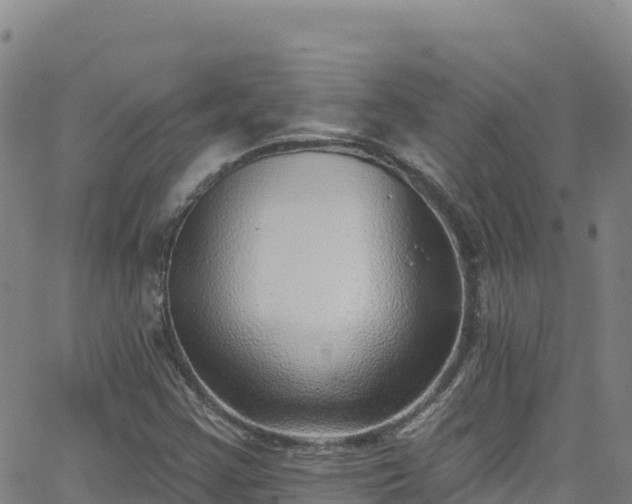 X0000062141355200512161207