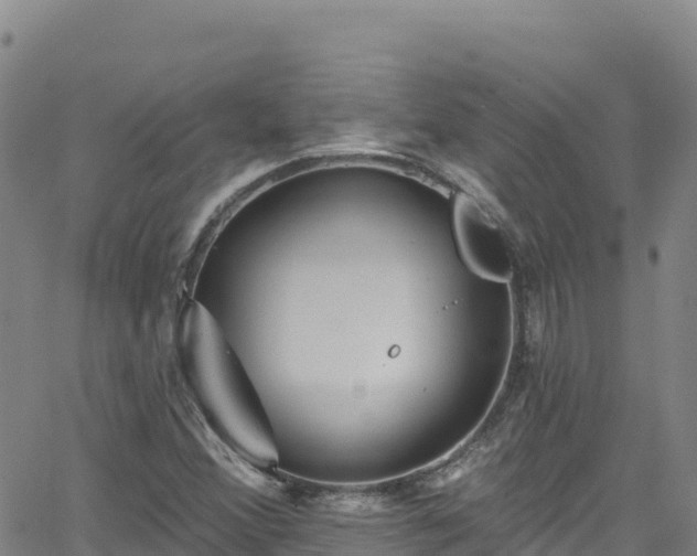 X0000062141356200512161207