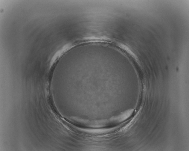 X0000062141357200512161207