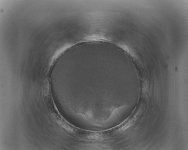 X0000062141358200512161207