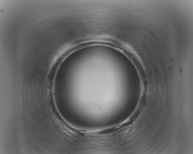 X0000062141360200512161207