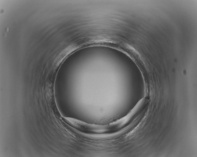 X0000062141361200512161207