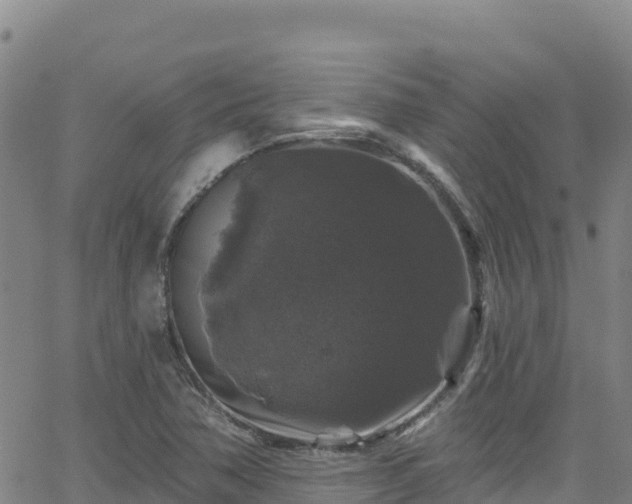 X0000062141362200512161207