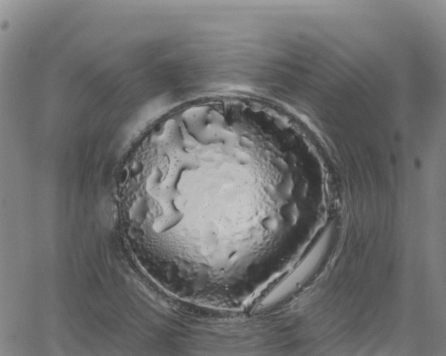 X0000062141363200512161207