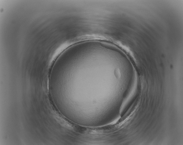 X0000062141365200512161207