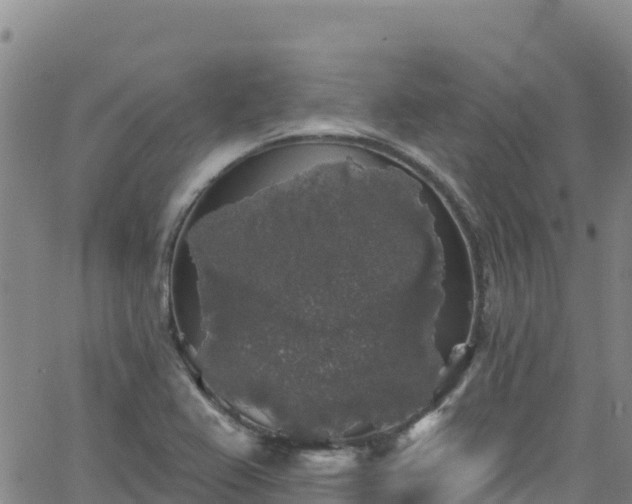 X0000062141367200512161207