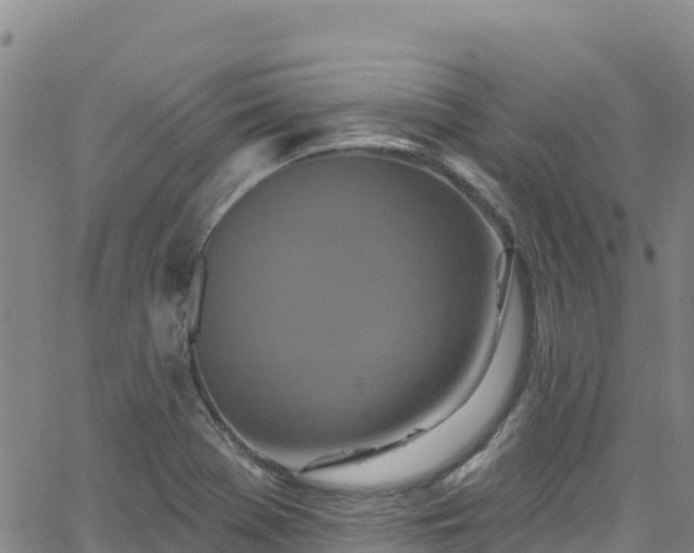 X0000062141369200512161207