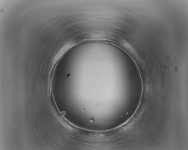 X0000062141370200512161207