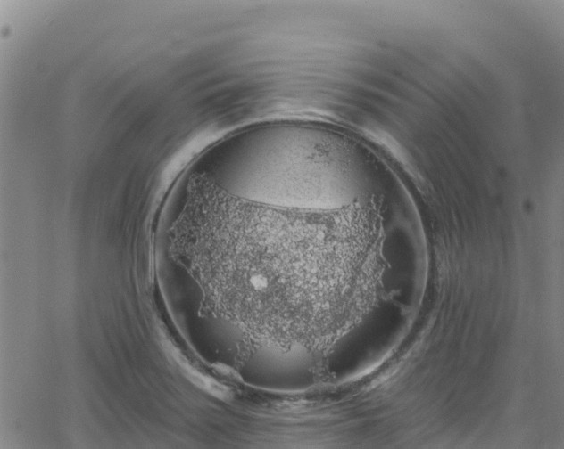 X0000062141371200512161207