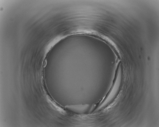 X0000062141373200512161207