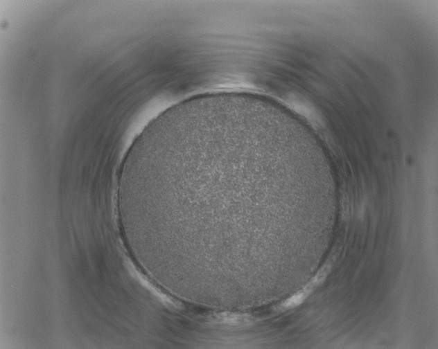 X0000062141374200512161207