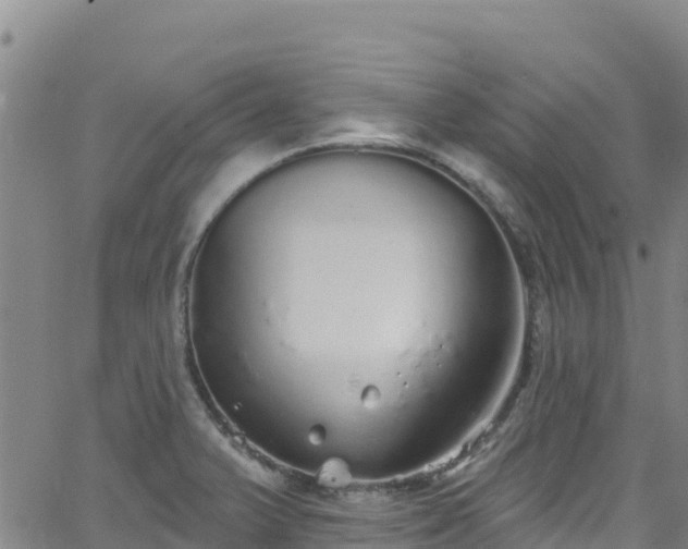 X0000062141375200512161206