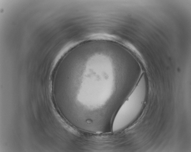 X0000062141376200512161206