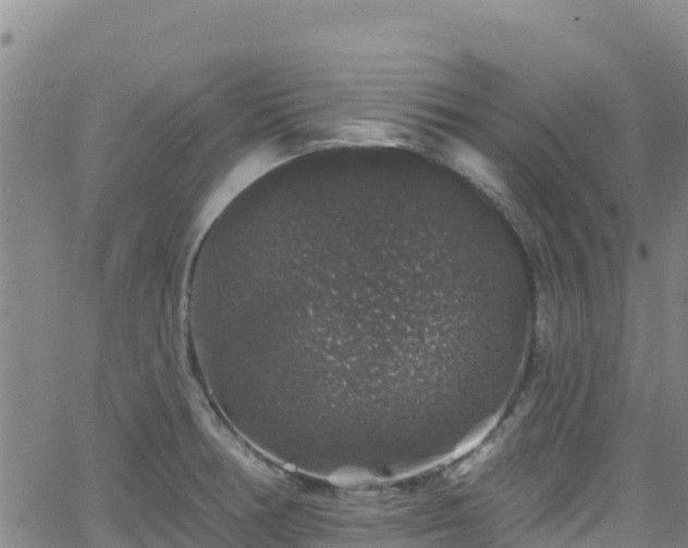 X0000062141378200512161206