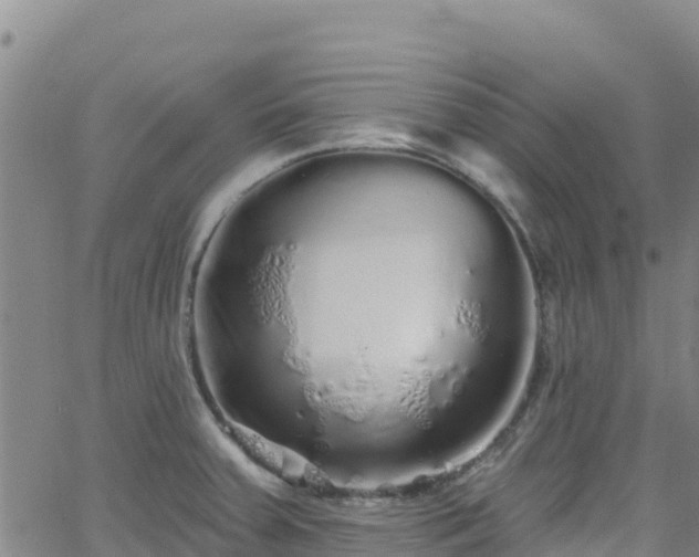 X0000062141379200512161206