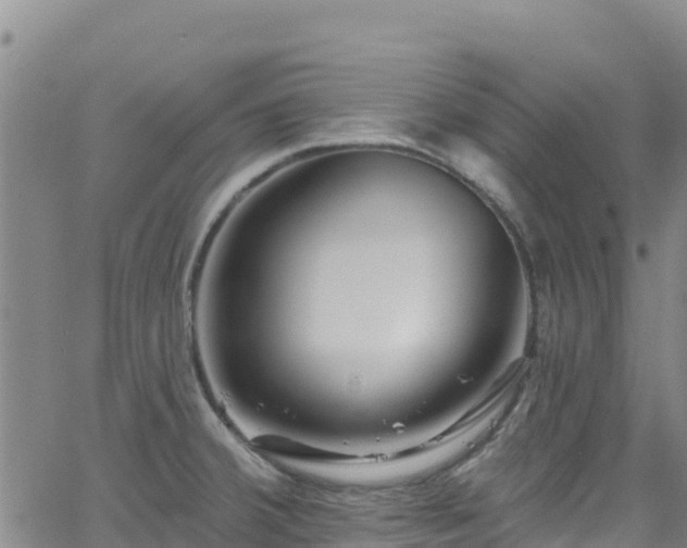 X0000062141380200512161206