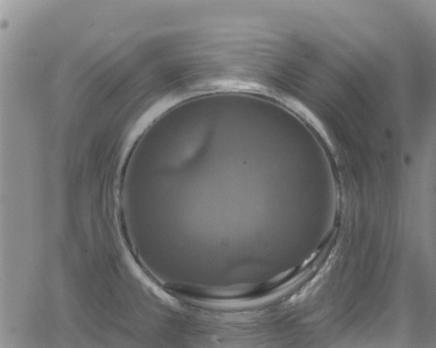 X0000062141381200512161206