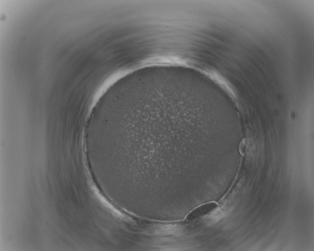 X0000062141382200512161206