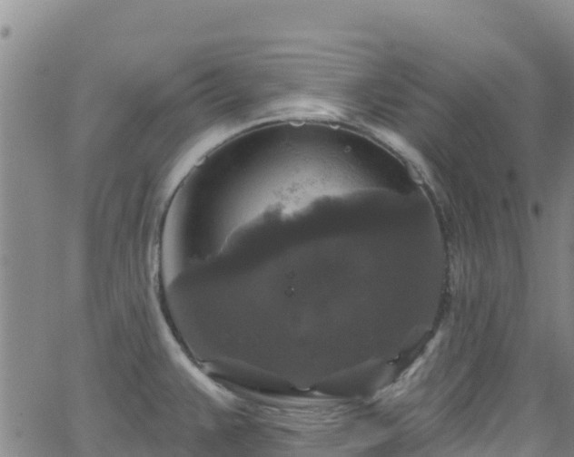 X0000062141383200512161206