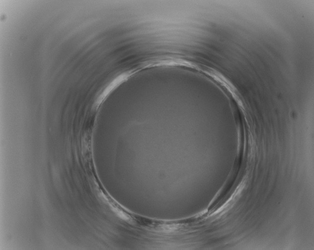 X0000062141385200512161206