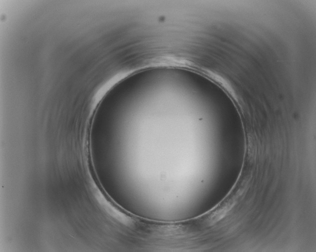 X0000062141387200512161206