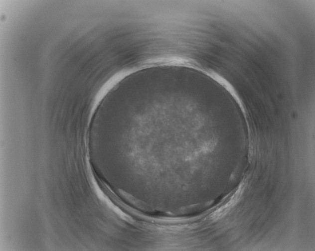 X0000062141389200512161206