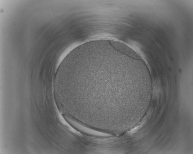 X0000062141390200512161206