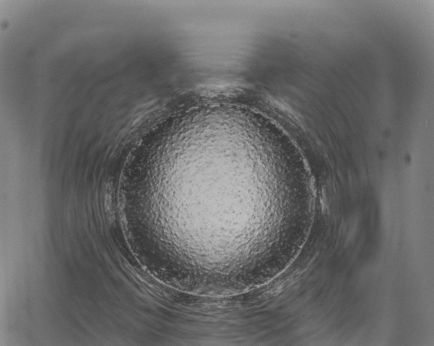 X0000062141396200512161205