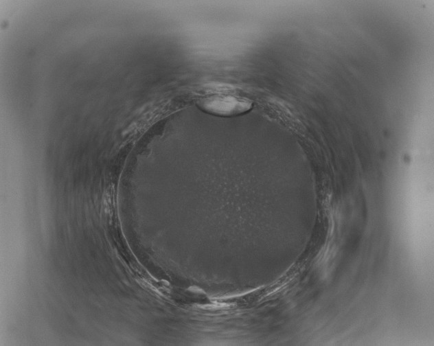 X0000062141397200512161205