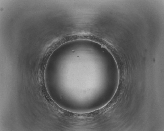 X0000062141398200512161206